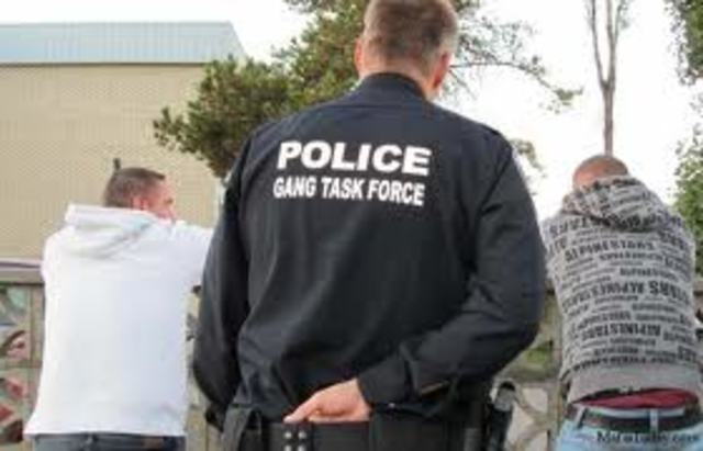 Mexican Drug Gang Members Captured