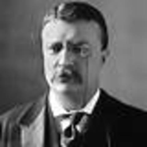 Theodore Roosevelt