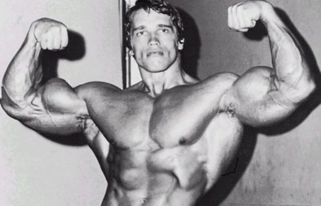 Arnold Scwarzenegger