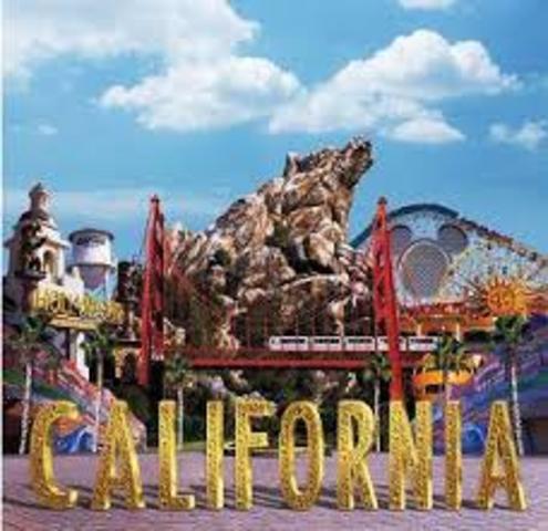 Went to Disneyland and lego land with Dad