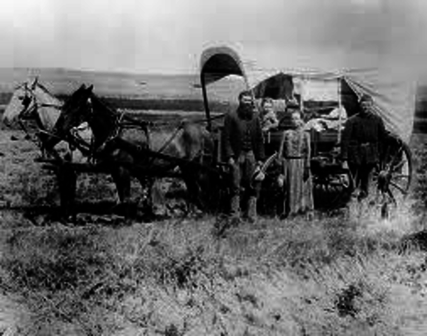 White man steal the lamd from the Natives