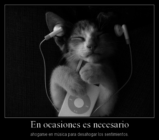 Sterted learning Catalan