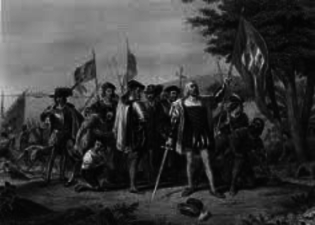 The  New World Discovery