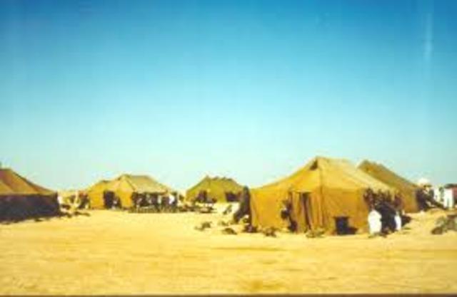 Operation Desert Storm