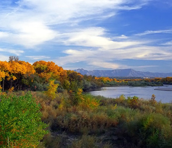 Outcome of the Rio Grande