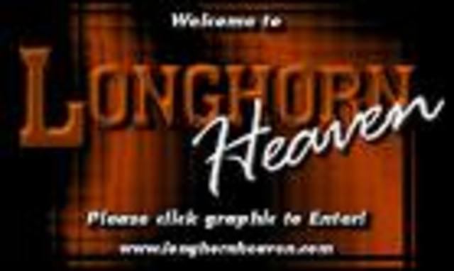 University of Texas opening