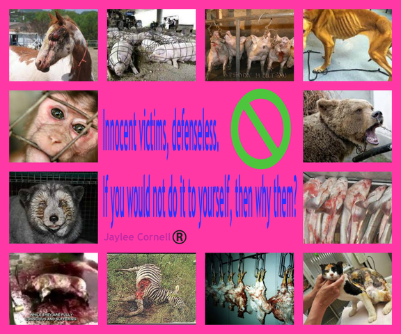 Types of Animal Abuse: