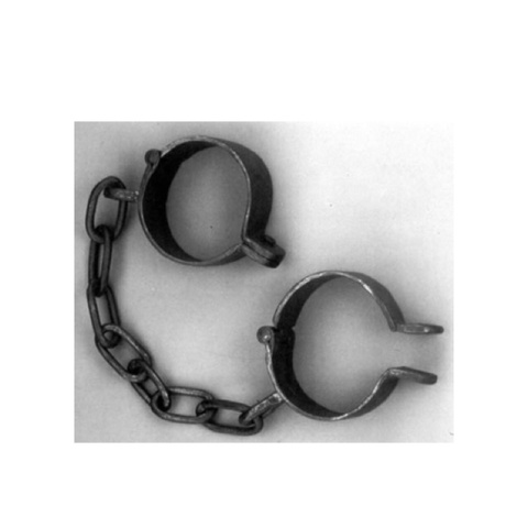 Slavery is Banned in the British Empire