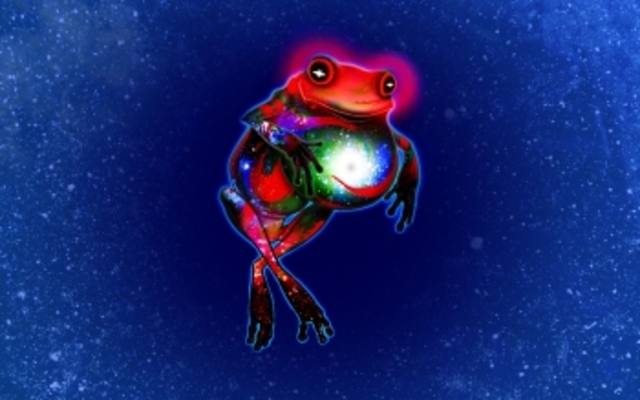 cumplí mi primer año