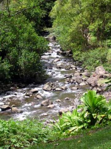 The Battle of Kepaniwai