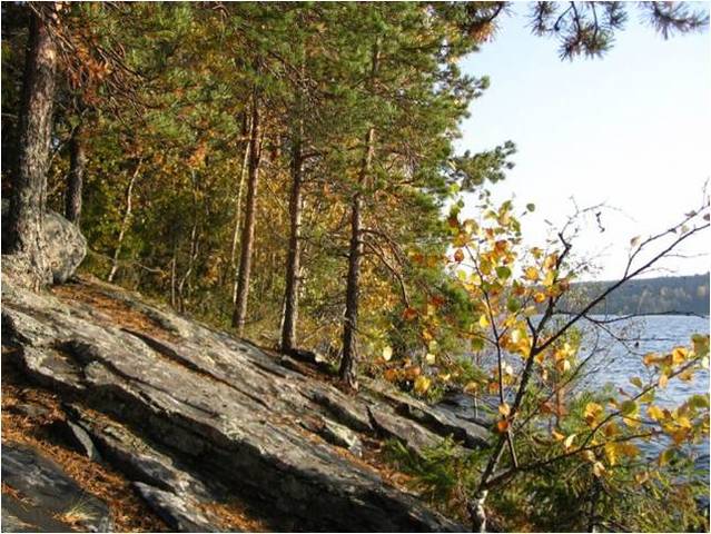 Приехали горные инспекторы – гвардии капитан Кожин и полковник Иван Зверев. Самуилом Алопеусом выходы мрамора. «Обстоятельная ведомость» генерал-порутчику графу Я. А. Брюсу