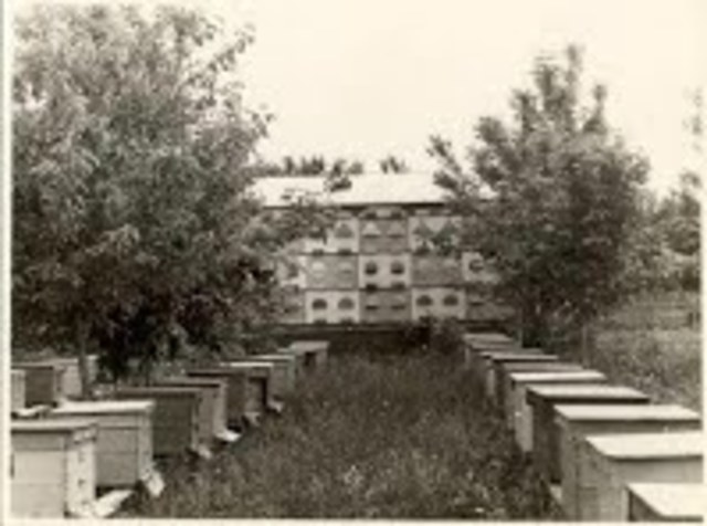 Первый павильон