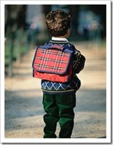 I started the school