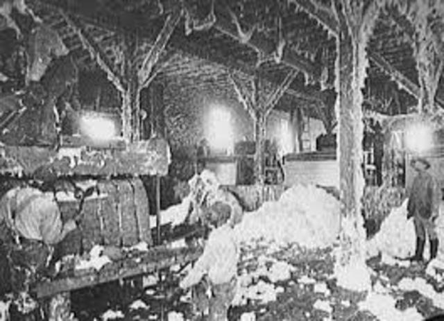 Eli Whitney's Cotton Gin