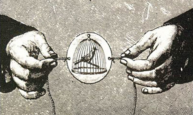 Creació del Traumatrop