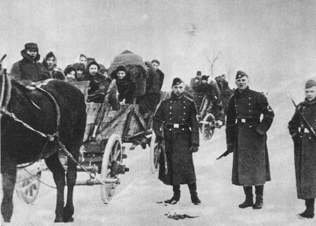 Final Solution begins but not in text