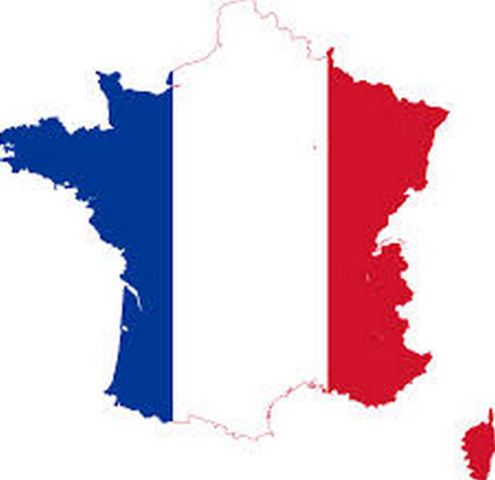 Assembly reforms France