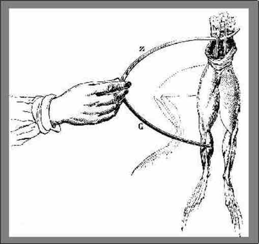 Faraday conducted a series of experiments