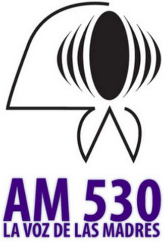 Asoc Madres de Plaza de Mayo obtiene Licencia Radifónica