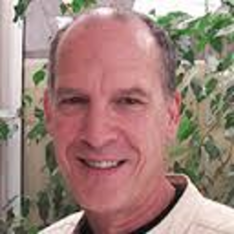 Youth Drinking Cultures, Social Networking and Alcohol Marketing: Implications for Public Health