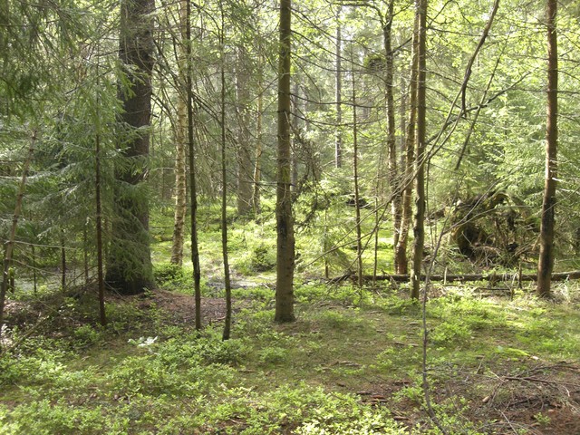 Landing with No Where to Go