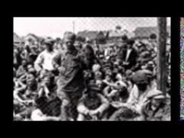 Final Solution Begins