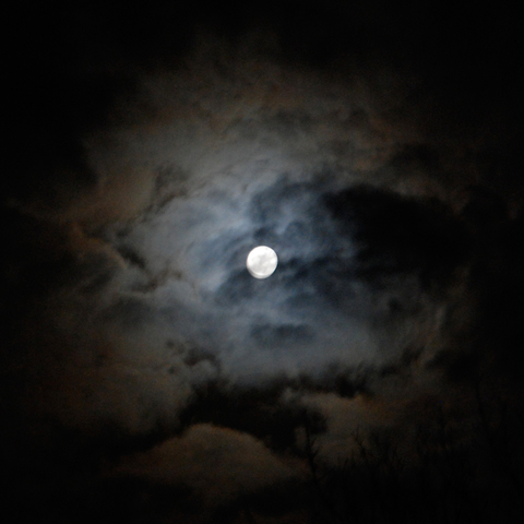 Animism- (3-5 yeats)