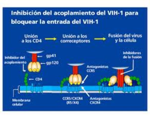 SE INVENTO EL PRIMER INHIBIDOR DEL VIRUS DEL HIV