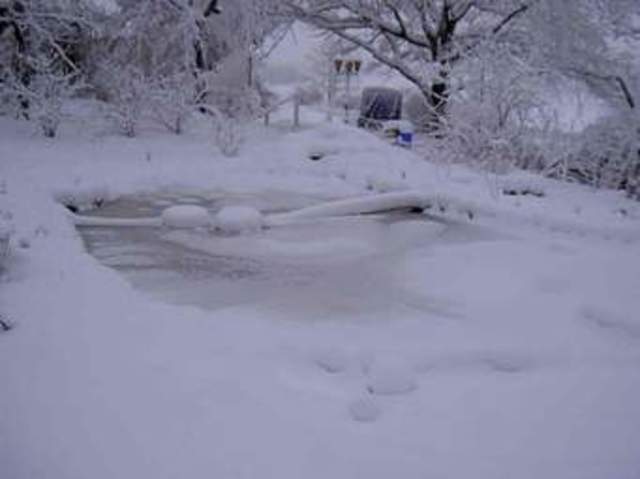fifth observation of the pond