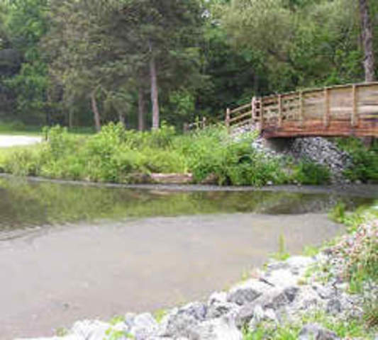 First day observed the pond