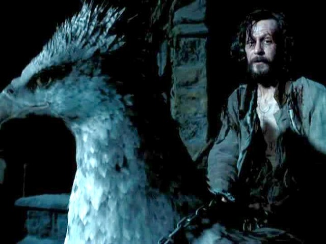 Harry, Ron, and Hermione Save Two Lives