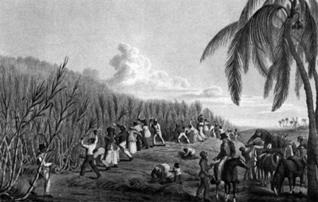 African slaves first brought to the Caribbean