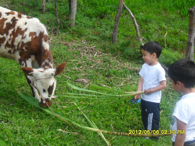 de paseo con la familia