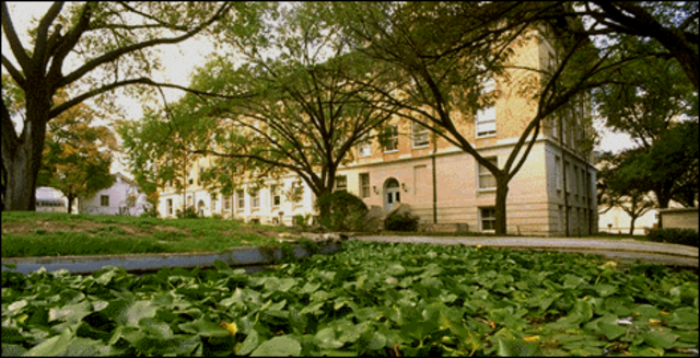 The university of  Texas classes begins