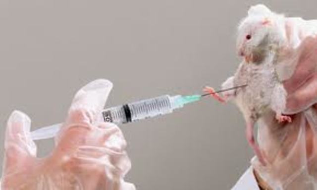 1970 Admendment Animal Wellfare Act