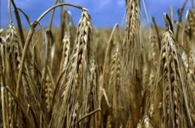 Causes of French Revolution