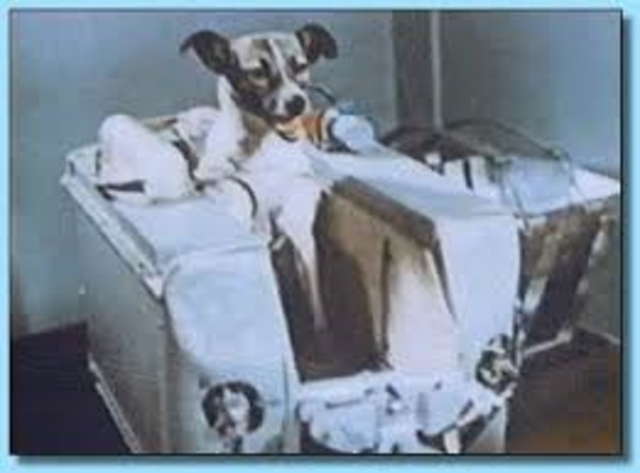 First Dog in Space