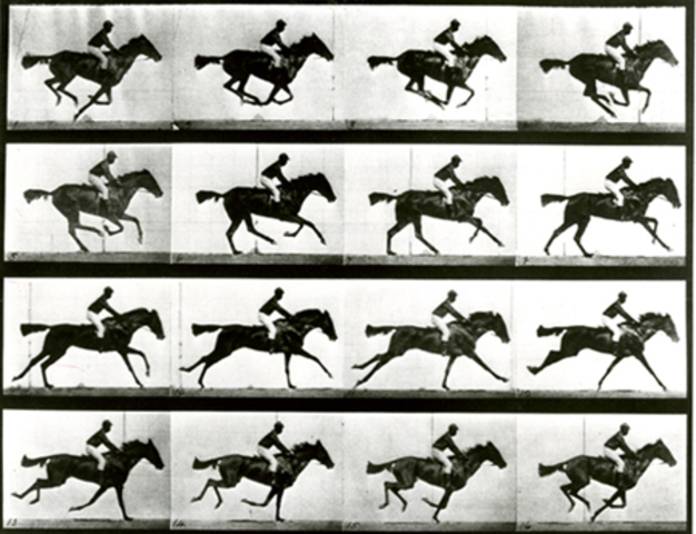 Estudi del cavall de Muybridge