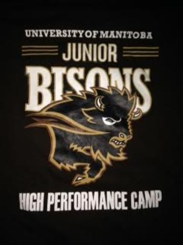 Junior Bisons Volleyball Camp