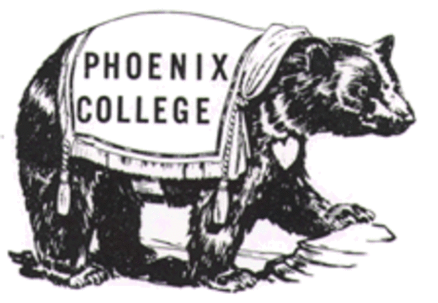 School Mascot and Colors Chosen