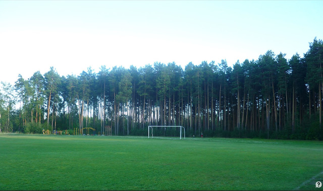 Открытие стадиона "Спутник"