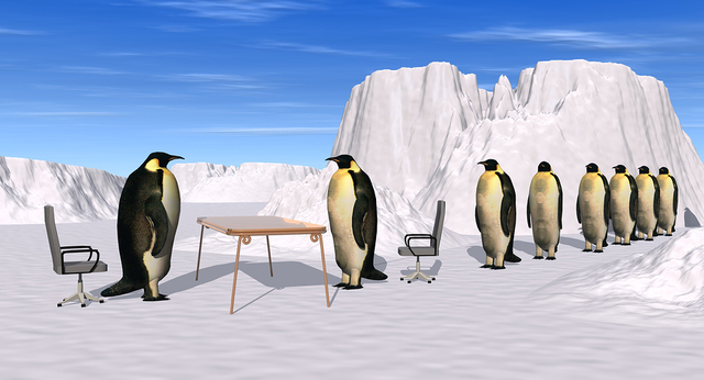 Interview and site visits