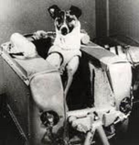 Sputnik 2-First Animal in Space