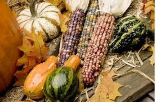 Main Crops of the Natives