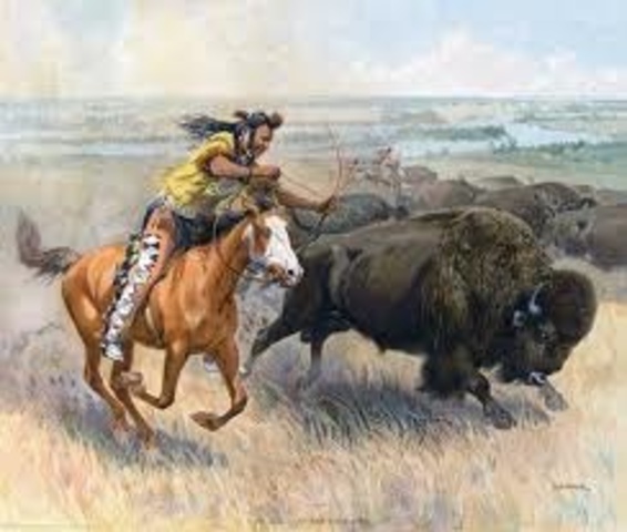 Buffalo Over Hunting