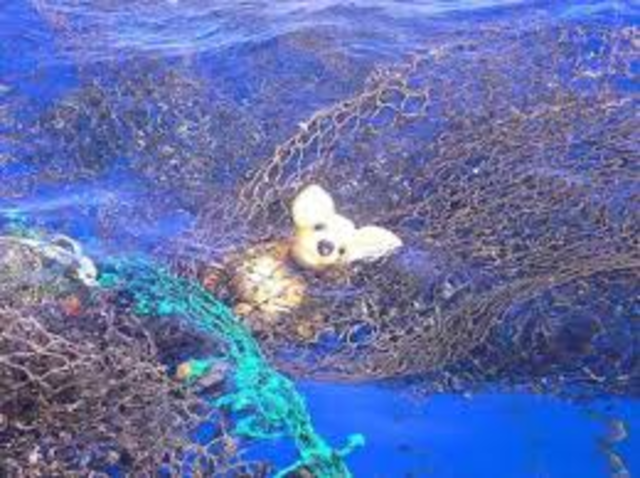 Great Pacific garbage patch