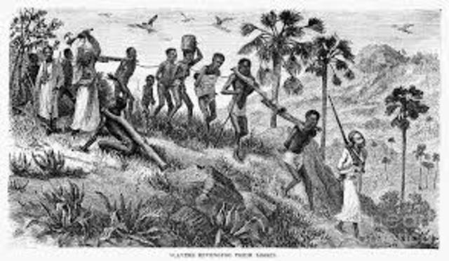 First enslaved Africans arrive in the Americas