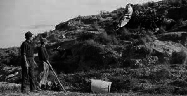 The palomares accident