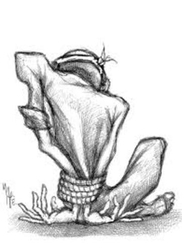 mexico esta en peligro por este delito