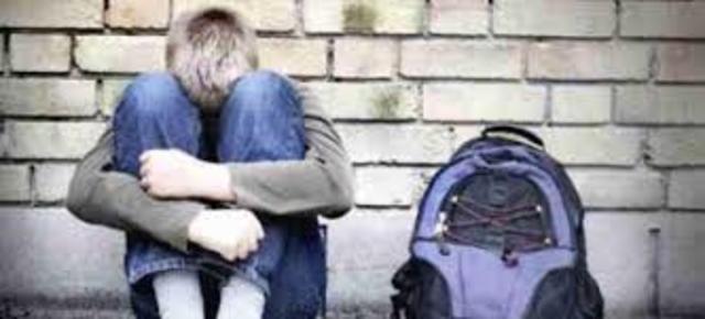 el pionero de la la investigacion del acoso